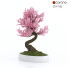 Bonsai-Baum Sakura - CGMOD