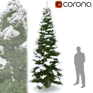 Árbol Abeto con nieve