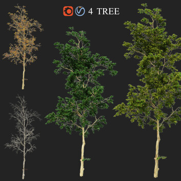 Arbres  Quatre Saisons Modèle 3D