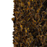 Arbres Cedrus Deodara 13 - hyperion