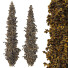 Arbres Cedrus Deodara 10 - hyperion