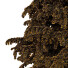 Arbre Cedrus Deodara 06 - hyperion