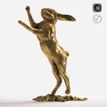 Rabbit 01 Model 3D