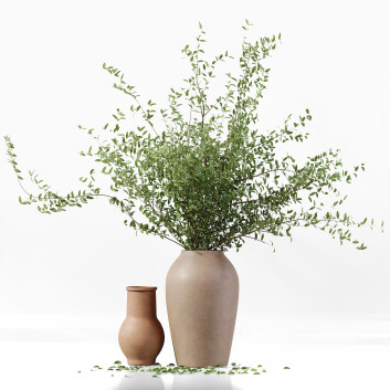 Bouquet and Vases  Plant 01 3D model