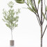 Plantas en macetas Conjunto de interior - Beatriz Martin