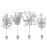 Plantas en macetas Conjunto de interior - Beatriz Martin