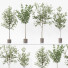Plantas en macetas Conjunto de interior - Beatriz Martin