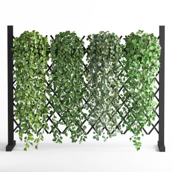 Grüne Wand Vertikaler Garten Innenraum 02