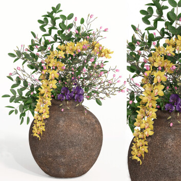 Bukiet Set 05 Collection Cimbydium Orchid
