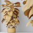Rośliny doniczkowe HQ House Elegant Monstera Deliciosa Large Leaf Form Swiss Cheese - Pandora-land