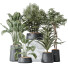 Rośliny doniczkowe Indoor Plant Set 26 - Pandora-land