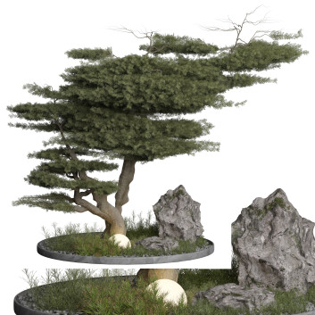 Baum und Steine  Pflanze im Freien 269 3D-Modell