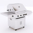 Grill Gas - zifir3d