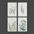 Bilder Set - Asti