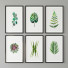 Pinturas Juniqe Plantas - Shelest