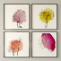 Kino Juniqe Botanical Theme Paintings 3 - Shelest