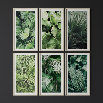 Картини  Set of Tropical Leaf Print 3D модель