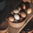 Декор Kitchen Accessories - shayan sharify