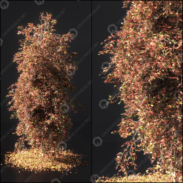 Baum Herbst 3D-Modell
