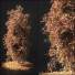 Baum Herbst - shayan sharify