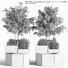 Decoración En el exterior del complejo de arbustos y árboles - shayan sharify