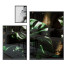 Bilder Monstera pflanze - gorbalena23