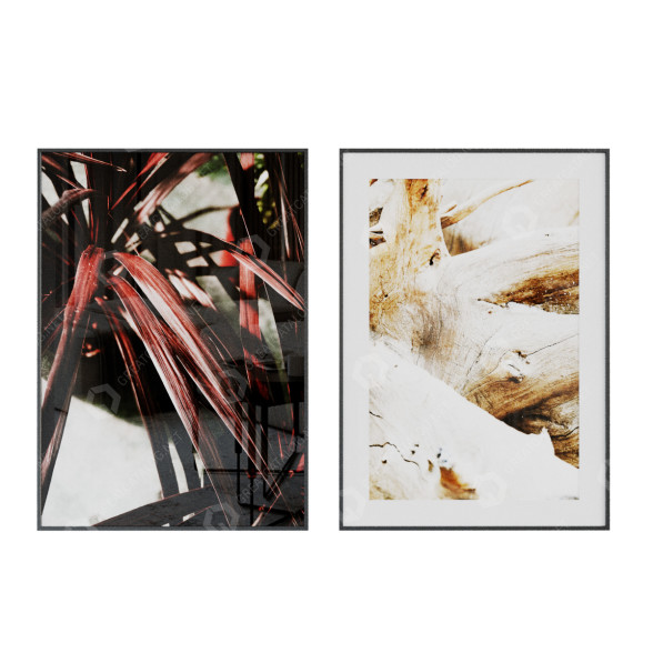 Bilder Nature 3D-Modell
