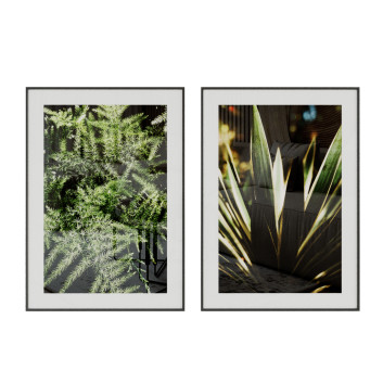 Bilder  Nature Plants 3D-Modell