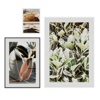 Bilder  Plants and Architecture 3D-Modell