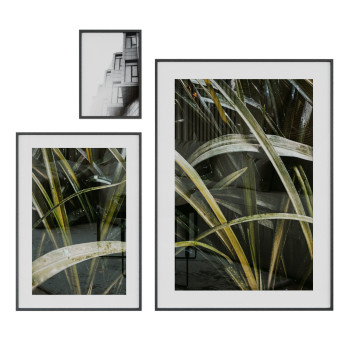 Bilder  Grass 3D-Modell