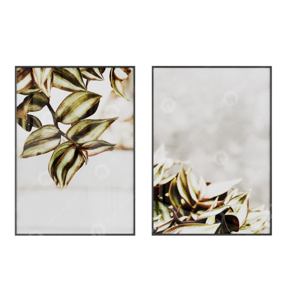 Bilder Plant Nature 3D-Modell