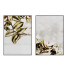 Bilder Plant Nature - gorbalena23