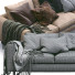 Sofa Prostoria Elegance Leather - Navasard