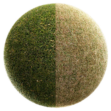 L'herbe Matériaux scannés