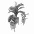 Plantas Colección 1 - ES