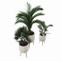 Plantas Colección 1 - ES