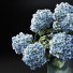 Ramo Hortensia azul - vasy3359