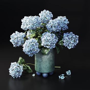 Bukiet Hydrangea Blue
