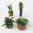 Pots de fleurs Florian - SKYVO