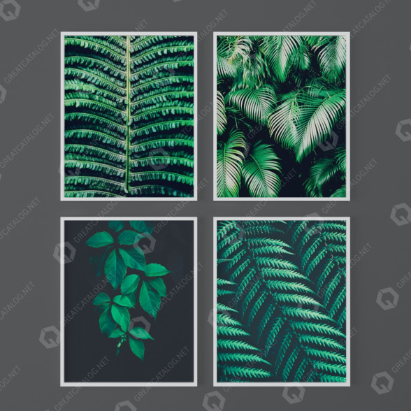 Bilder Set of Tropical Prints from Lionart Prints 3D-Modell