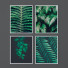 Bilder Set of Tropical Prints from Lionart Prints - Denys