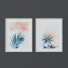 Pictures Set of Botanical Posters from Sirii Mirri - Denys
