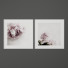 Pictures Set of Foral Print from Lamour Fou Print Shop - Denys