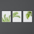 Photos Set of Tropical Prints - Denys