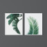 Photos Set of Tropical Prints - Denys