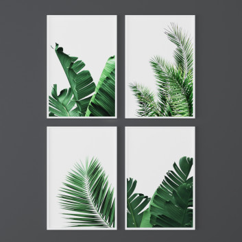 Kino Set of Tropical Prints