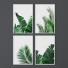 Photos Set of Tropical Prints - Denys