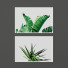 Картини Set of Tropical Prints 2 - Denys