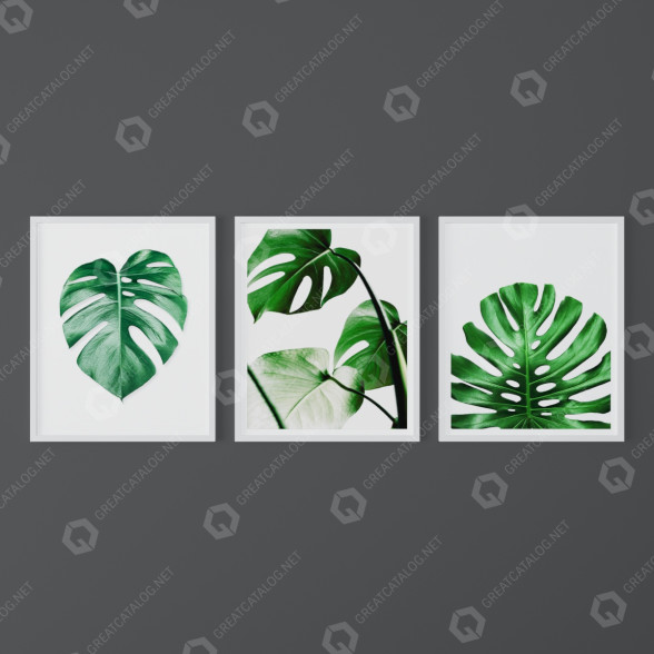 Картини Set of Tropical Prints 2 3D модель