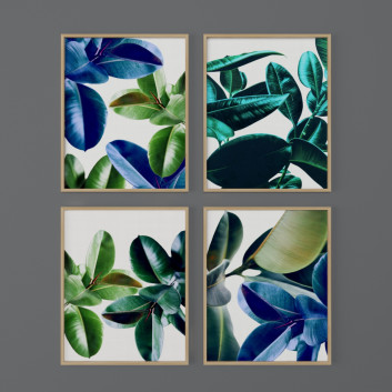 Картини Set of Botanical Prints from Worldphotographies